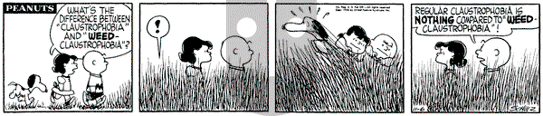 Peanuts on Tuesday November 6, 1956 Comic Strip