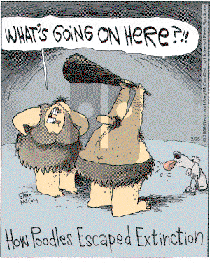 The Flying McCoys on Saturday February 25, 2006 Comic Strip