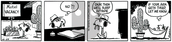 Peanuts on Sunday July 27, 1986 Comic Strip