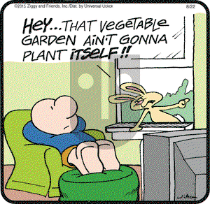 Ziggy on Saturday August 22, 2015 Comic Strip