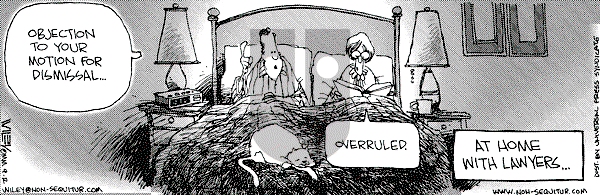 Non Sequitur on Friday June 28, 2002 Comic Strip
