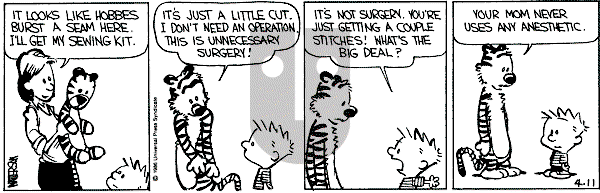 Calvin and Hobbes - Friday April 11, 1986 Comic Strip
