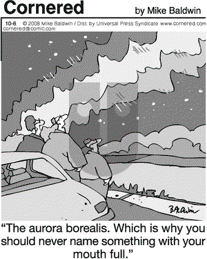 Cornered on Monday October 6, 2008 Comic Strip