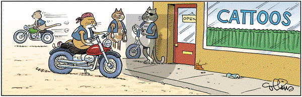 Looks Good on Paper - Tuesday April 14, 2015 Comic Strip