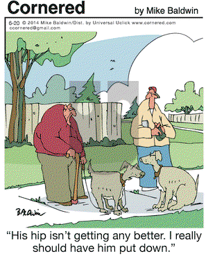 Cornered on Friday June 20, 2014 Comic Strip