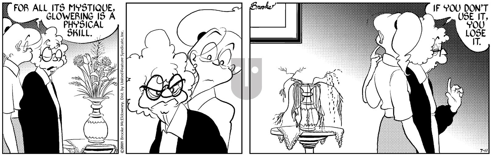 9 Chickweed Lane - Wednesday July 11, 2001 Comic Strip