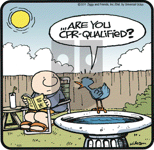 Ziggy on Thursday August 25, 2011 Comic Strip