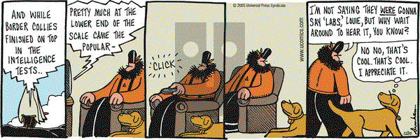 Overboard on Saturday December 17, 2005 Comic Strip