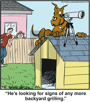 Marmaduke on Saturday November 6, 2021 Comic Strip