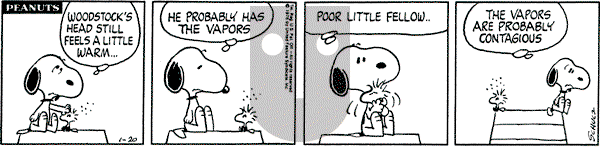 Peanuts - Tuesday January 20, 1976 Comic Strip