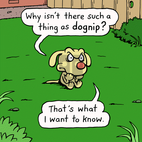 Cattitude — Doggonit - Thursday December 5, 2024 Comic Strip