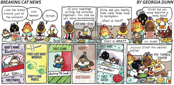 Breaking Cat News on Sunday August 9, 2020 Comic Strip