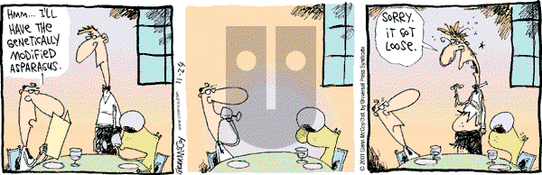 The Duplex on Saturday November 24, 2001 Comic Strip