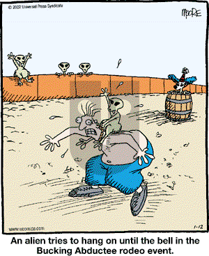 In the Bleachers - Saturday January 12, 2002 Comic Strip