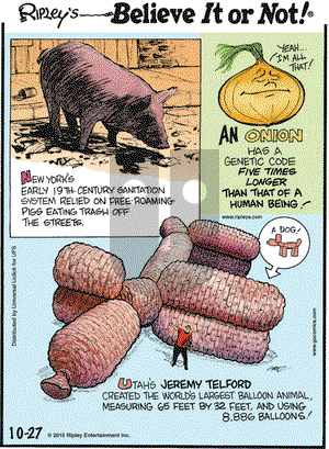 Ripley's Believe It or Not on Tuesday October 27, 2015 Comic Strip