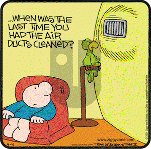 Ziggy on Friday August 10, 2001 Comic Strip