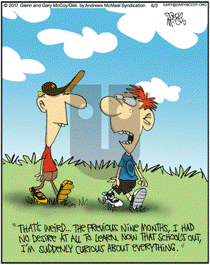 The Flying McCoys on Saturday June 3, 2017 Comic Strip