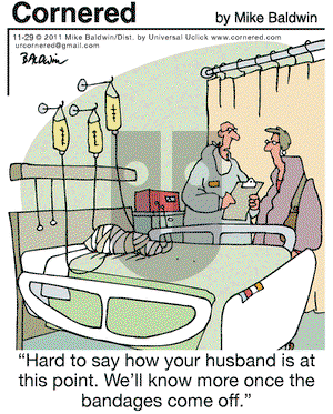 Cornered on Tuesday November 29, 2011 Comic Strip