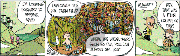 Wallace the Brave on Monday April 6, 2020 Comic Strip