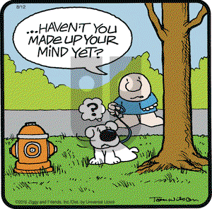 Ziggy on Friday August 12, 2016 Comic Strip
