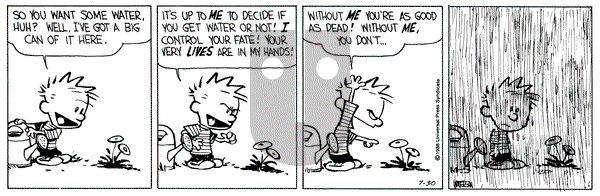 Calvin and Hobbes on Saturday July 30, 1988 Comic Strip