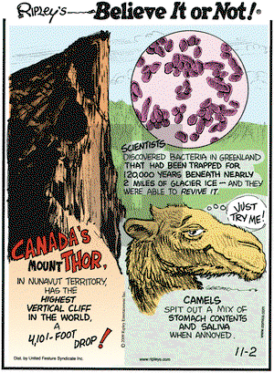 Ripley's Believe It or Not on Monday November 2, 2009 Comic Strip