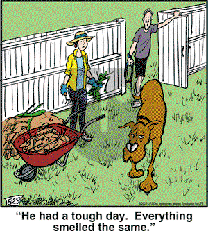 Marmaduke on Friday May 23, 2025 Comic Strip