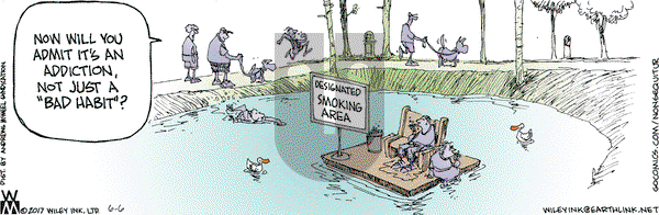 Non Sequitur on Tuesday June 6, 2017 Comic Strip