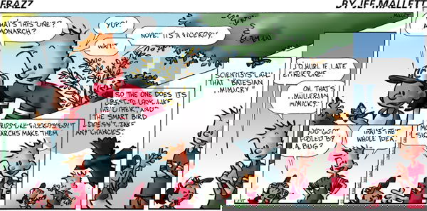 Frazz on Sunday July 11, 2010 Comic Strip