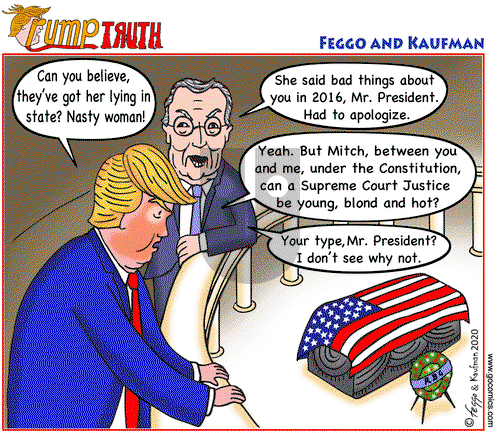 ViewsAmerica on Saturday September 26, 2020 Comic Strip