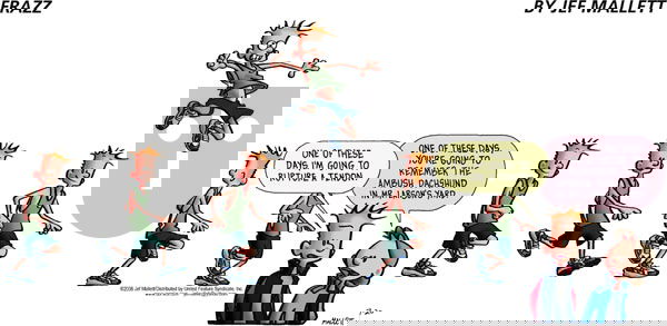 Frazz on Sunday July 20, 2008 Comic Strip