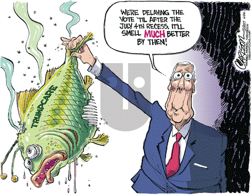 Stuart Carlson on Wednesday June 28, 2017 Comic Strip