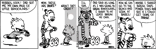 Calvin and Hobbes - Thursday May 26, 1988 Comic Strip