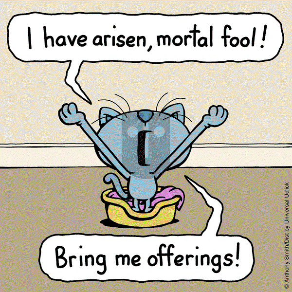 Cattitude — Doggonit on Saturday March 15, 2025 Comic Strip