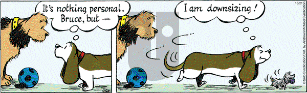 Fred Basset on Wednesday October 21, 2020 Comic Strip