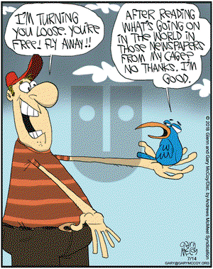 The Flying McCoys on Saturday July 14, 2018 Comic Strip