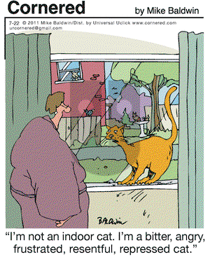 Cornered on Friday July 22, 2011 Comic Strip