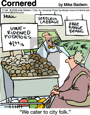 Cornered - Saturday November 29, 2008 Comic Strip