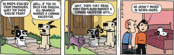 Pooch Cafe on Tuesday June 20, 2017 Comic Strip