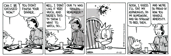 Calvin and Hobbes on Friday May 12, 1989 Comic Strip