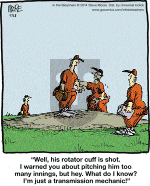 In the Bleachers on Wednesday May 28, 2014 Comic Strip