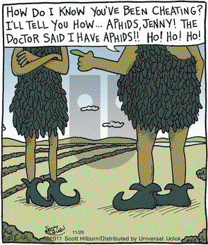 The Argyle Sweater on Saturday November 26, 2011 Comic Strip