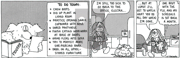 Cathy Classics on Tuesday January 24, 1995 Comic Strip
