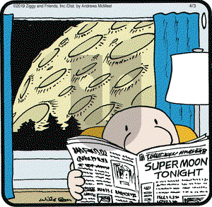 Ziggy on Wednesday April 3, 2019 Comic Strip