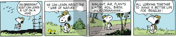 Peanuts on Thursday May 11, 2000 Comic Strip