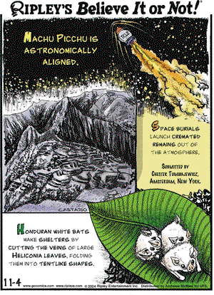 Ripley's Believe It or Not - Monday November 4, 2024 Comic Strip