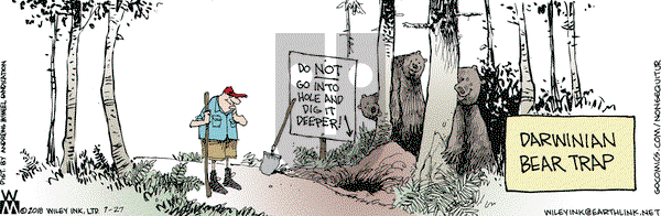 Non Sequitur on Friday July 27, 2018 Comic Strip