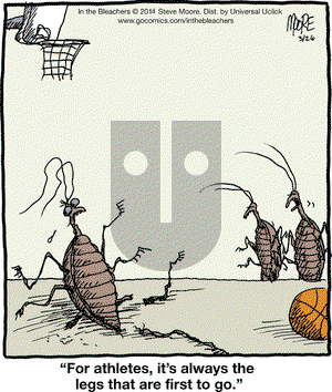 In the Bleachers on Wednesday March 26, 2014 Comic Strip