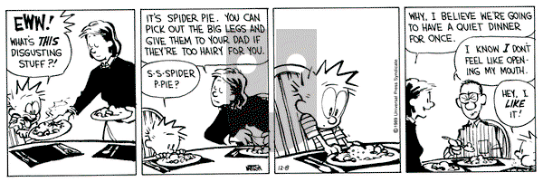Calvin and Hobbes on Friday December 8, 1989 Comic Strip