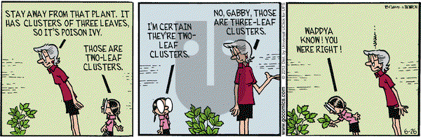 Grand Avenue on Wednesday June 26, 2013 Comic Strip